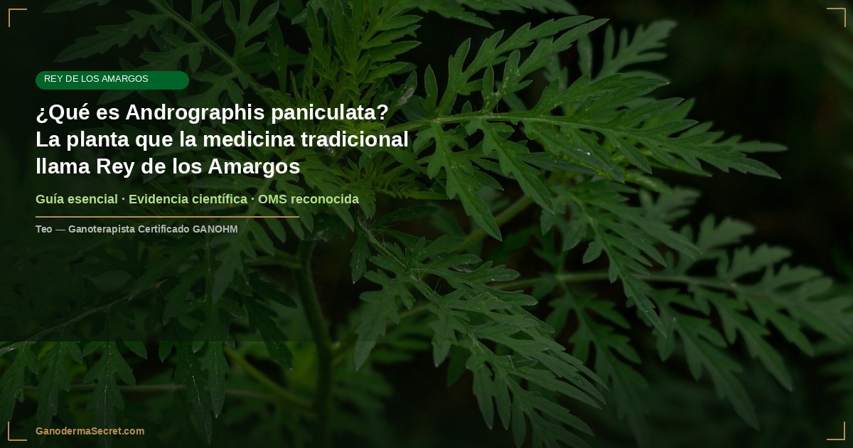¿Qué es Andrographis paniculata? La planta que la medicina tradicional llama Rey de los Amargos